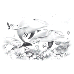 BENEATH THE WAVES 16974SA4.gif